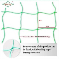 植物爬藤網(wǎng) 花卉網(wǎng) 家用園藝網(wǎng) 加強型 1.8mx1.8m
